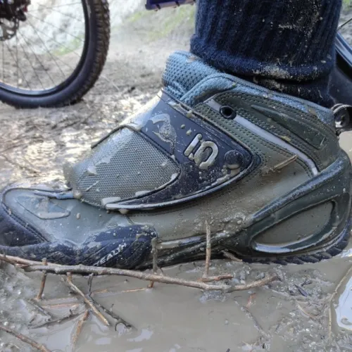 Testování bot Diddie Schneider