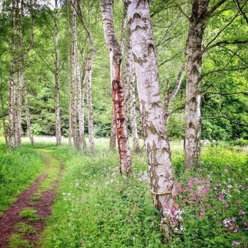 SERIÁL: TIPY NA VÝLET: JIŽNÍ ČECHY