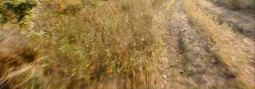 SPDH Malá Lučivná pohledem Petra Marciňa