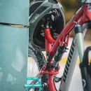 ElementStore | Author Patriot Trail 1.0