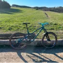 ElementStore | Dartmoor rockbird 